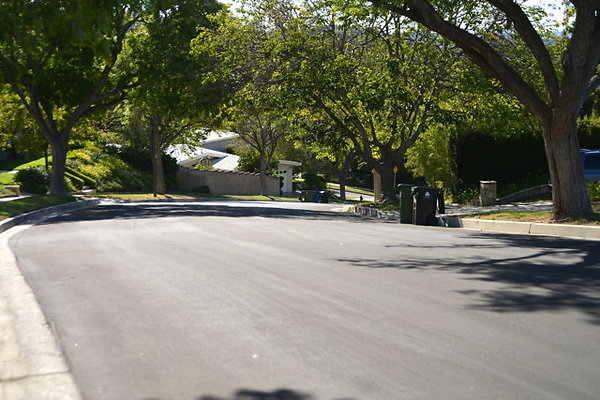 DSC 8094