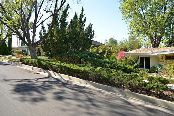 DSC 8069