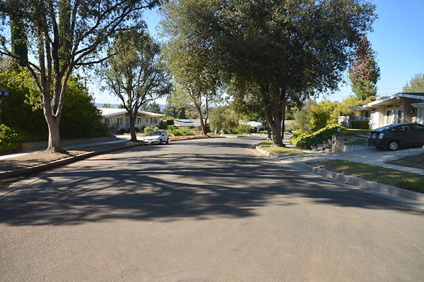 DSC 8084