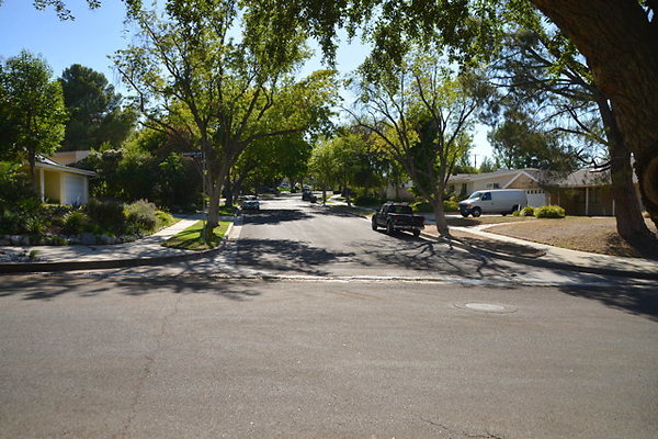 DSC 8076