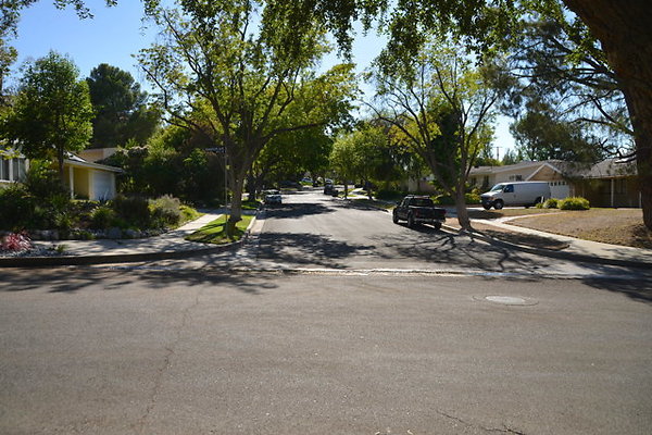 DSC 8078