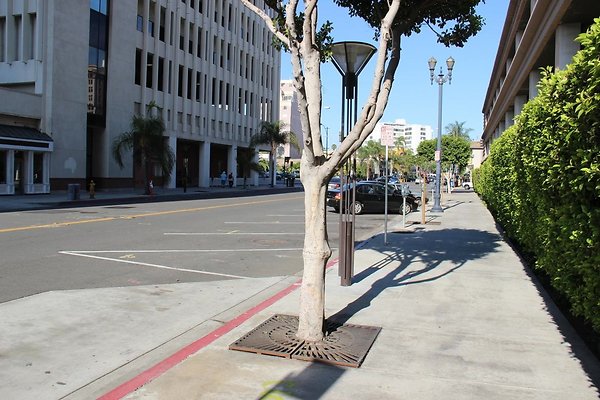 07.Steet.SW.1st.St.Elm-LongBeachBlvd.Sside