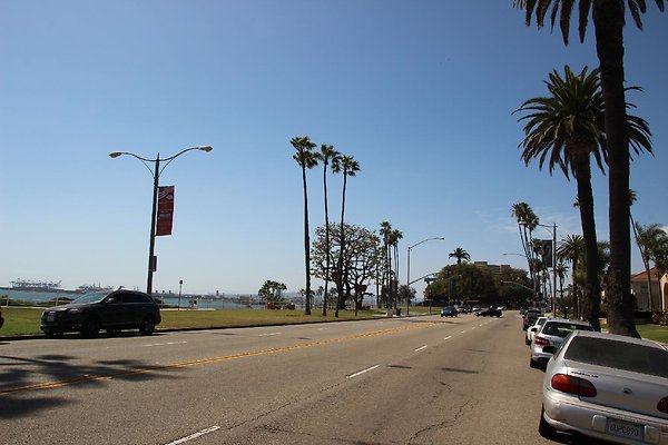 Steet-Bluff Park-Ocean Bl lbch-021