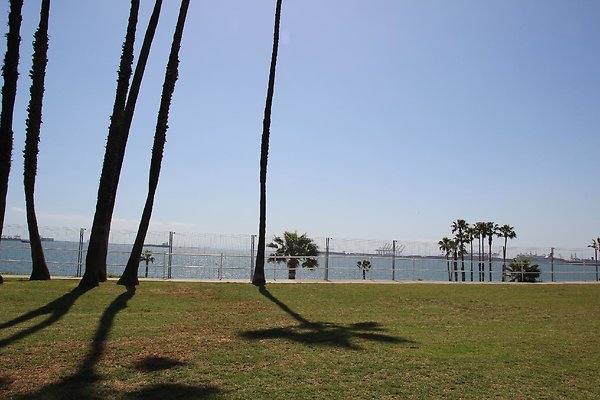 Steet-Bluff Park-Ocean Bl lbch-007