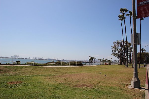 Steet-Bluff Park-Ocean Bl lbch-013