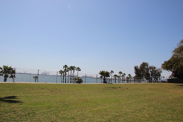 Steet-Bluff Park-Ocean Bl lbch-008