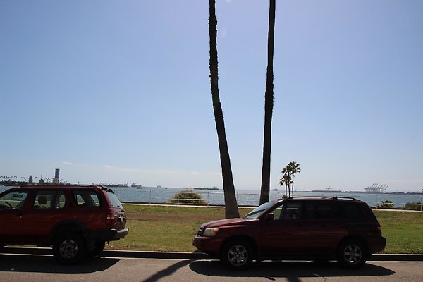 Steet-Bluff Park-Ocean Bl lbch-017