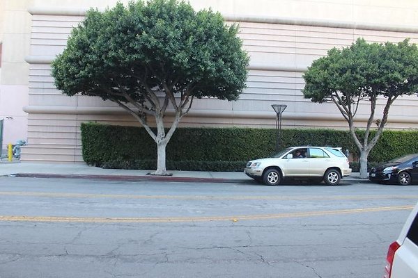 Street.SW.Elm.1st-Ocean.LongBeach.11