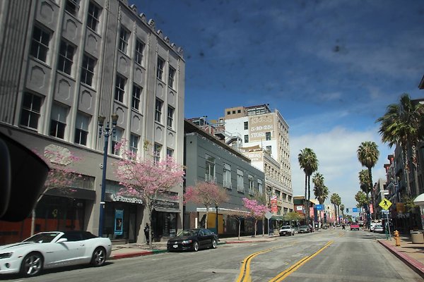 Pine St-1st to 5th lbch-010