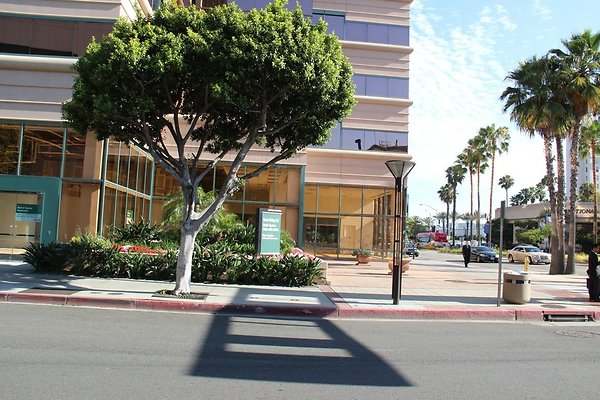 16.Steet.SW.1st.St.Elm-LongBeachBlvd.Alt