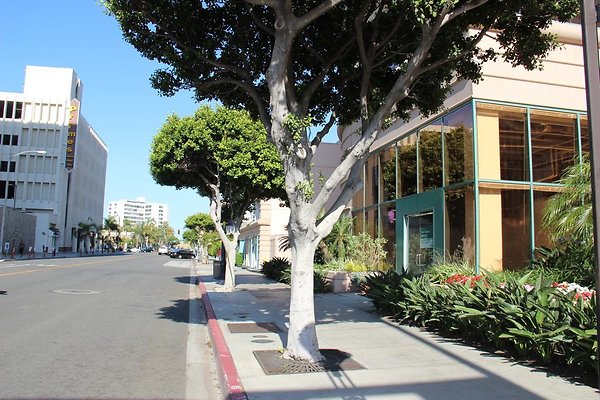 12.Steet.SW.1st.St.Elm-LongBeachBlvd.Alt