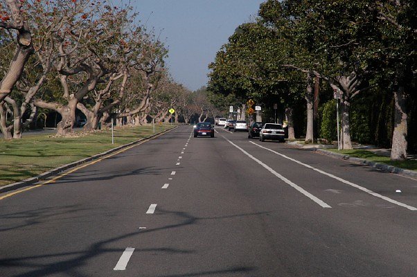 San Vicente Rd Santa Monica 073