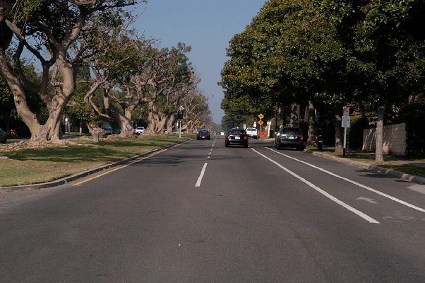 San Vicente Rd Santa Monica 065