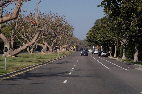 San Vicente Rd Santa Monica 072