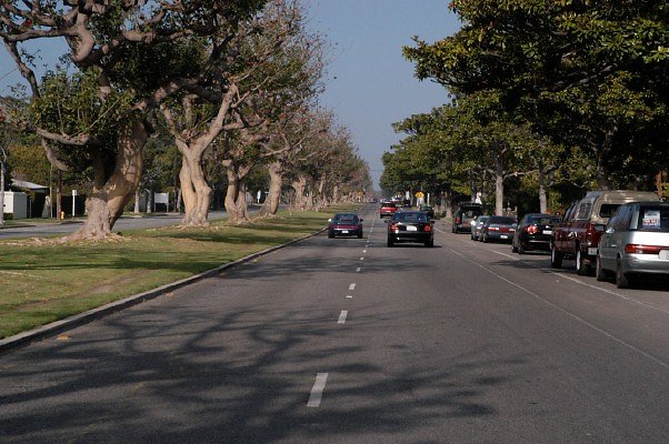 San Vicente Rd Santa Monica 061