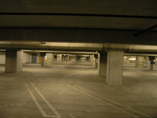 P1010010