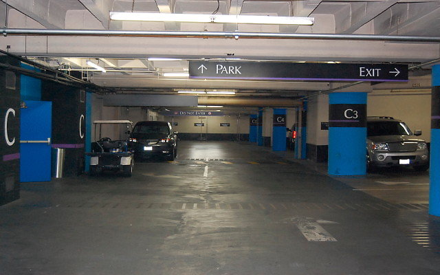 DSC 0236