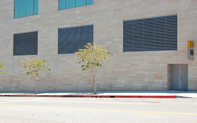 DSC 0052