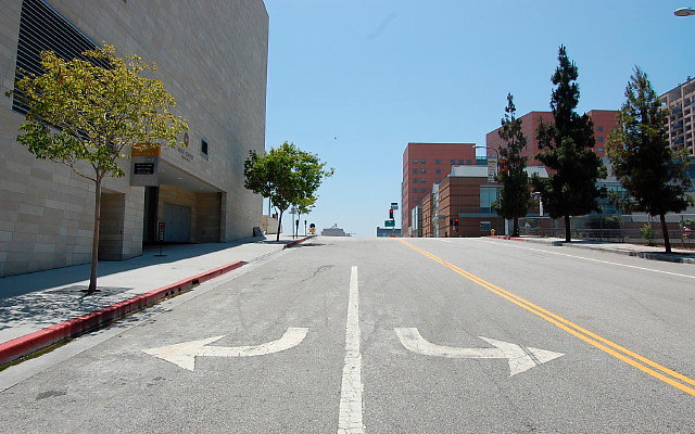 DSC 0061