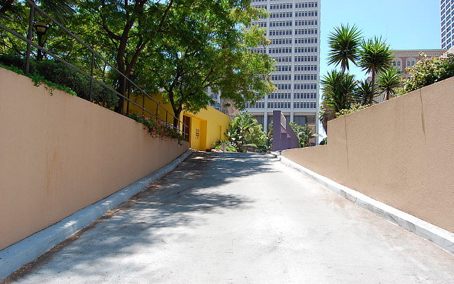 DSC 0264