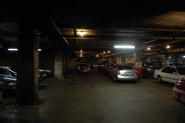DSC 0082