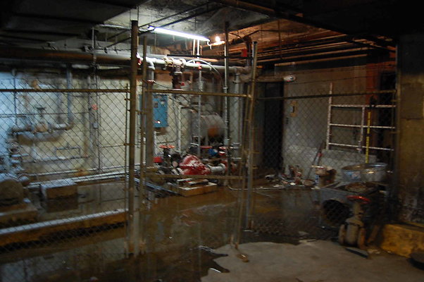 DSC 0101
