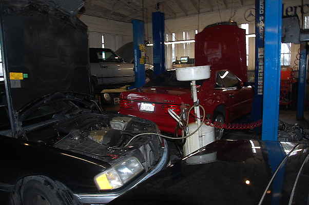 DSC 0029