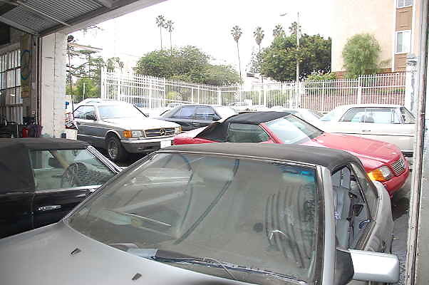 DSC 0019