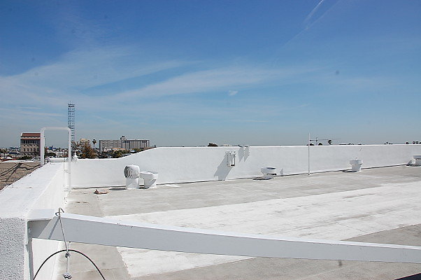 Vertigo.Roof.27