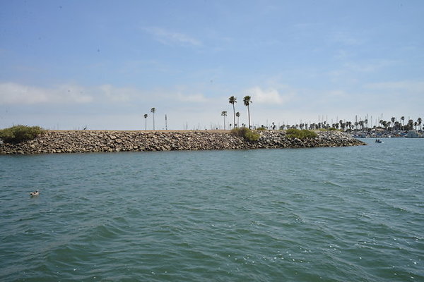 DSC 6885