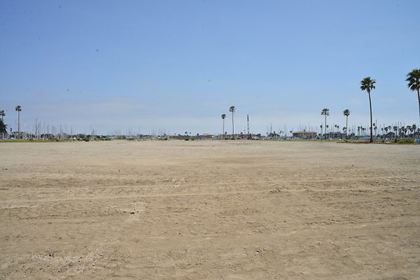 DSC 6916