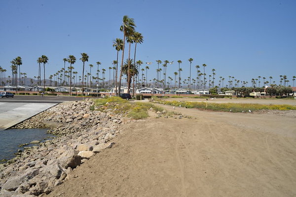 DSC 6908