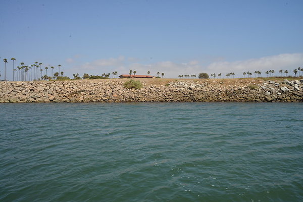 DSC 6900