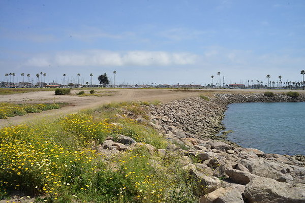 DSC 6872