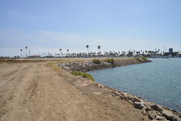 DSC 6903