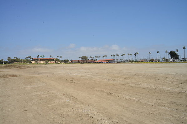 DSC 6915