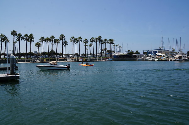 DSC04306