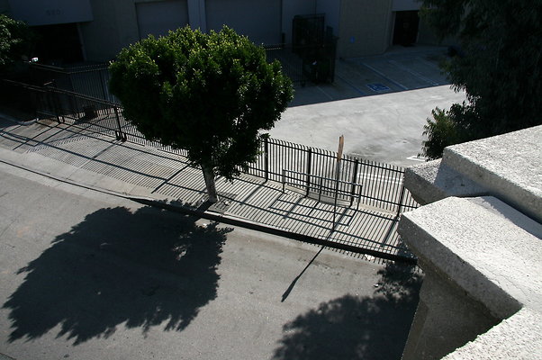 IMG 0702
