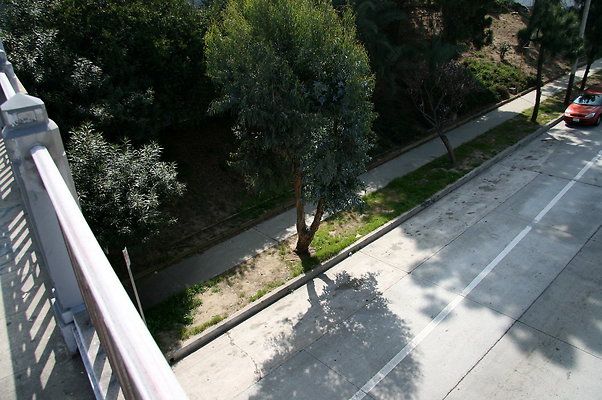 IMG 0528