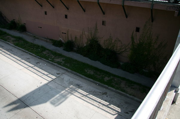 IMG 0524