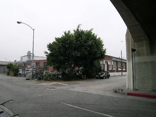 DSCN7672
