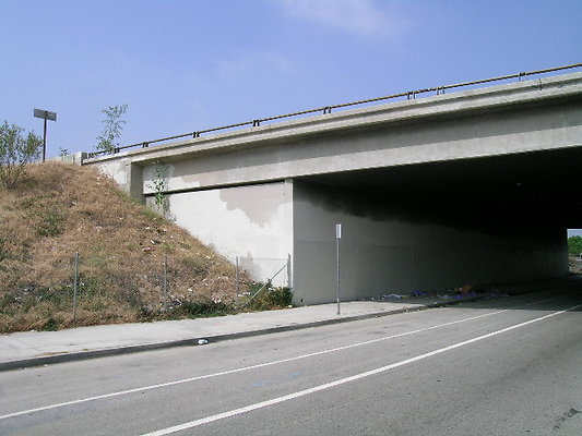 DSCN7401