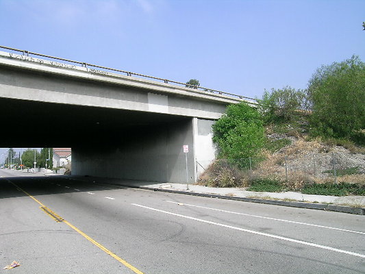 DSCN7403