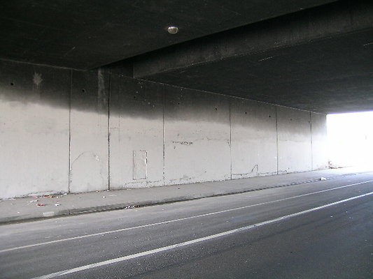 DSCN7404