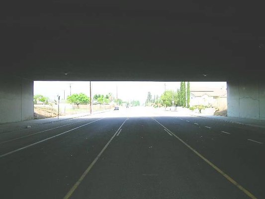 DSCN7405