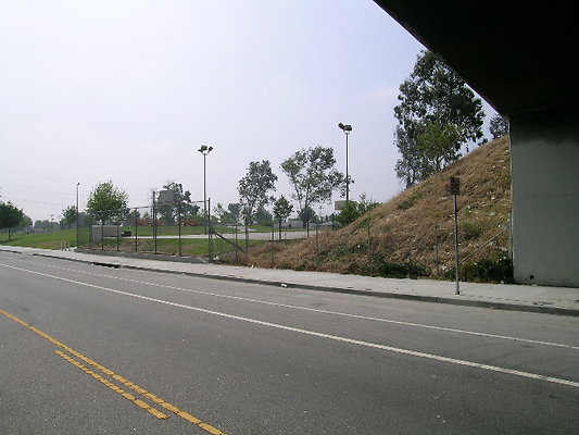 DSCN7415
