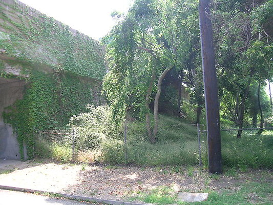 DSCN7751
