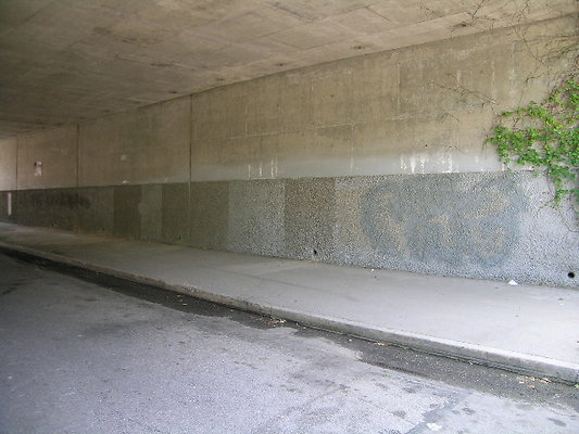 DSCN7754