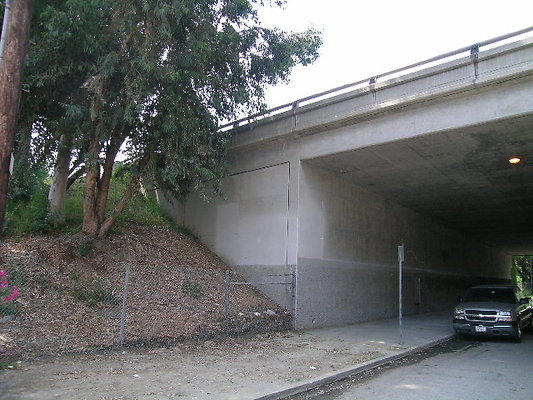 DSCN7737