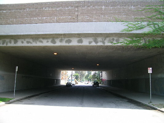 DSCN7750